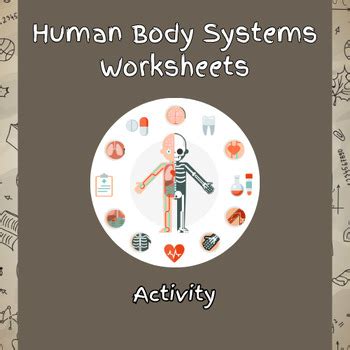 Human Body Systems Worksheets by The Teaching Paradise | TPT