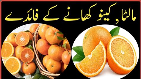 Benefits Of Orange Kinnow Khane Ke Fayde Fawaid Oladoc