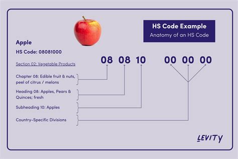 A Beginners Guide To HS Code Automation With 2022 HS Code Updates