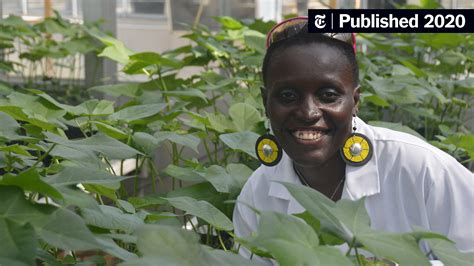 ‘As Scientists, We Have Yet to Close the Racial Disparities’ - The New