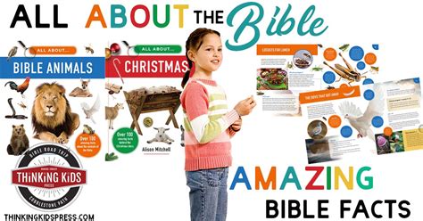 All about the Bible Books Amazing Facts about the Bible SM - Thinking Kids