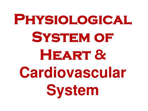 Ppt Physiological System Of Heart And Cardiovascular System Powerpoint