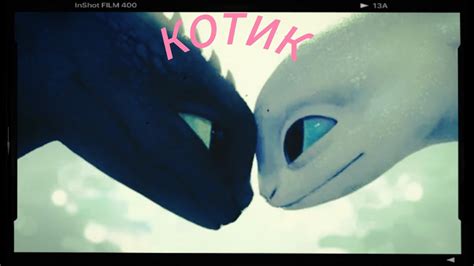 Клип (Котик) HTTYD @Fantom_Fantik - YouTube