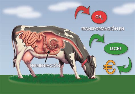 Artículo en Realidad Ganadera Mejora de la eficiencia alimentaria y la