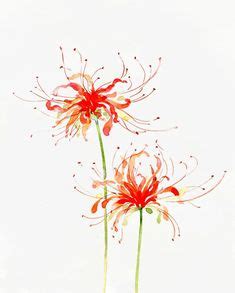 11 Red spider lily ideas | red spider lily, flower art, flower drawing