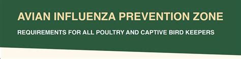 Avian Flu Prevention