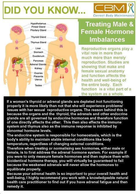 Male and Female Hormone Imbalances | Correct Body Maintenance