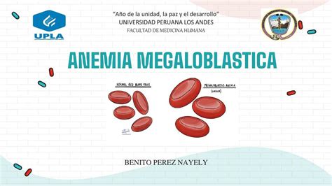 Anemia Megaloblastica Nayely Benito UDocz