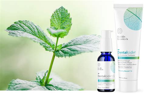 The Power of Biocidin – Biocidin Botanicals