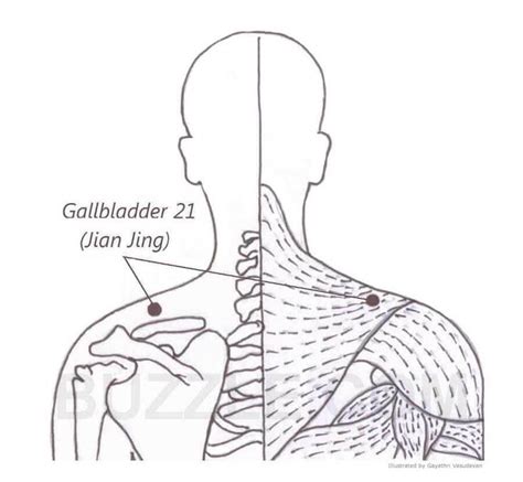 Gallbladder 21 Acupressure Pressure Points For Headaches