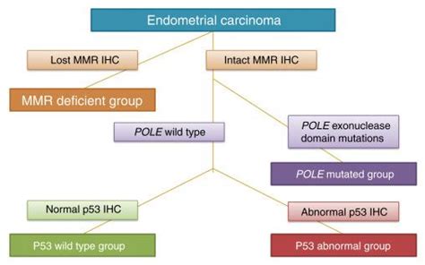 Immunohistochemistry And Molecular Diagnostics In The Differential