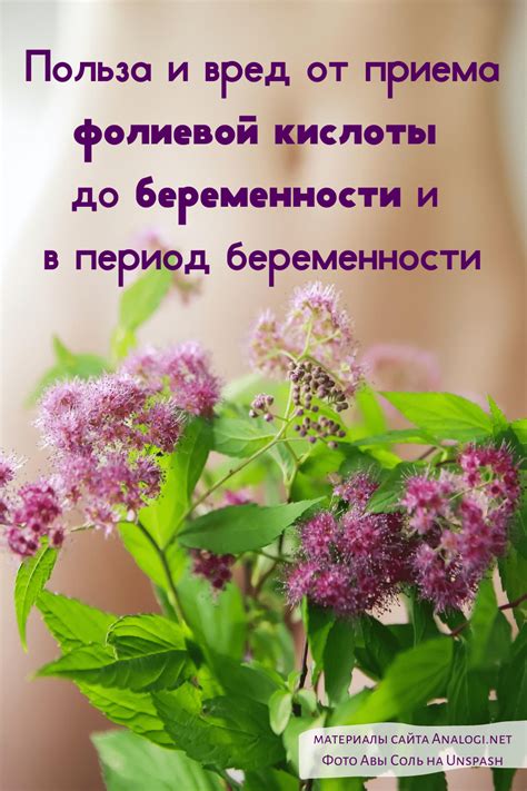 Польза приема фолиевой кислоты до беременности | Аналогий нет