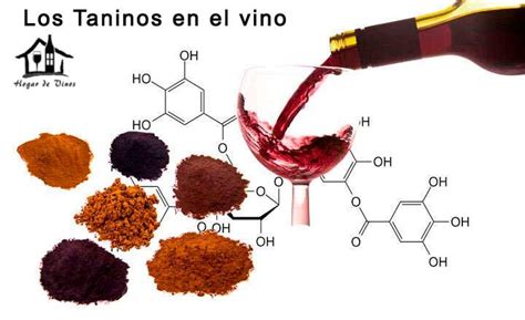 son los taninos en el vino una guia de taninos taninos vino