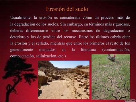 La Deforestacion Y Reforestacion Ppt Descarga Gratuita