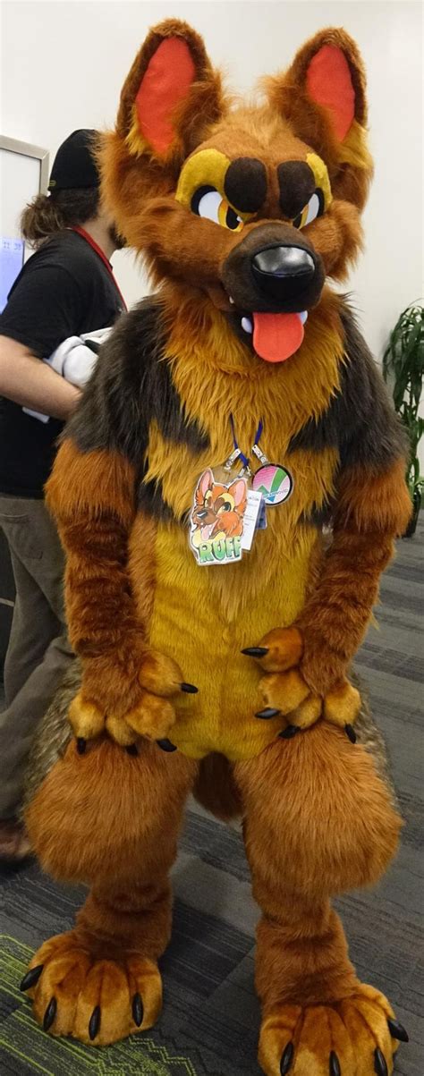 Heads And Tails Fursuits Fursuit Furry Fursuit Furry Art