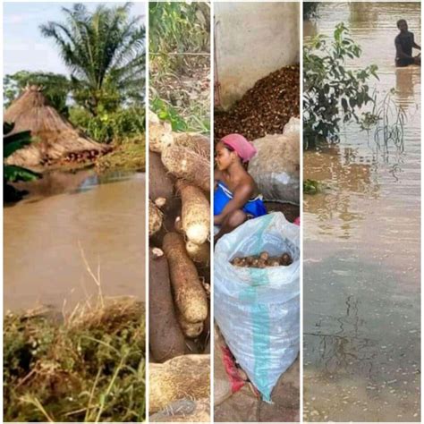 Farmers Count Losses As Flood Destroy 3000 Houses Farm Produces Worth