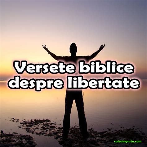 Versete Biblice Despre Libertate Calea Ingusta