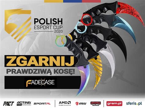 Polish Esport Cup Decyduj Ca Faza Rozgrywek