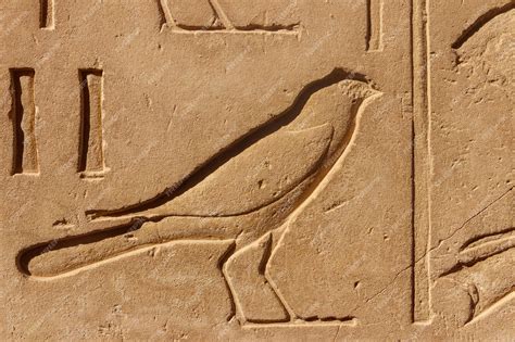 Egyptian Bird Hieroglyphics