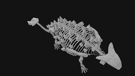 Ankylosaurus Skeleton