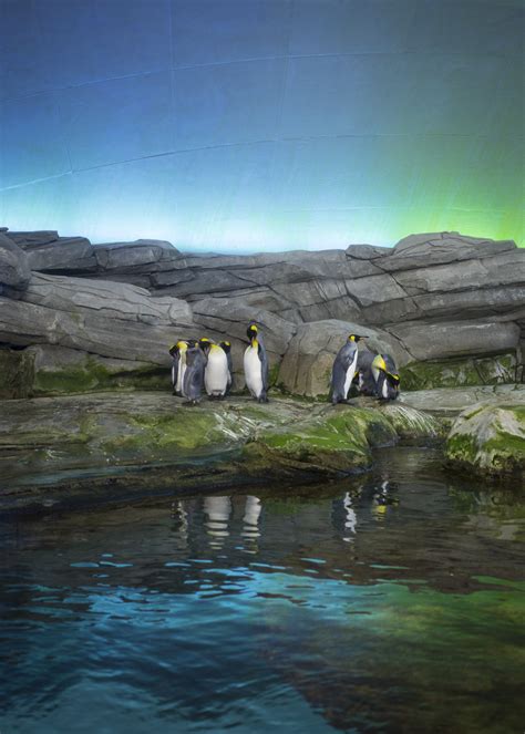 Zoo - www.eliashassos.de