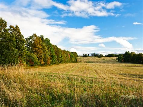 field wallpaper