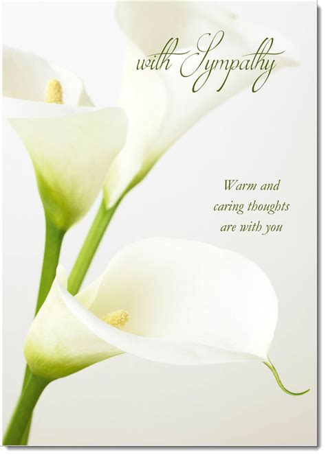 Sympathy Condolence Bereavement Card White Calla Lilies Doodlecards