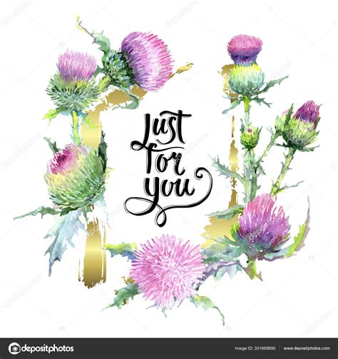 Pink Thistle Floral Botanical Flowers Watercolor Background