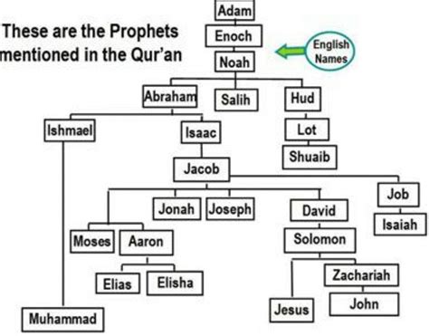 The Prophets (AS) | Wiki | Islam Amino ☪ Amino