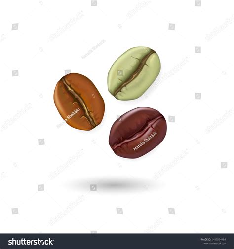 Coffee Beans Realistic Set Showing Various Stock Vector Royalty Free