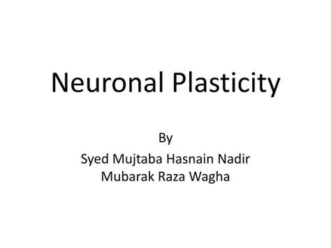 Neuronal plasticity | PPT