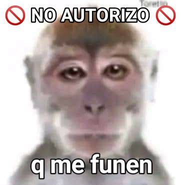 A Monkey With The Words No Autorizo On It S Face In Spanish