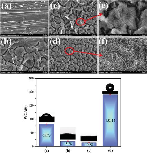 Scanning Electron Microscopy Sem Images And Water Contact Angle Wca