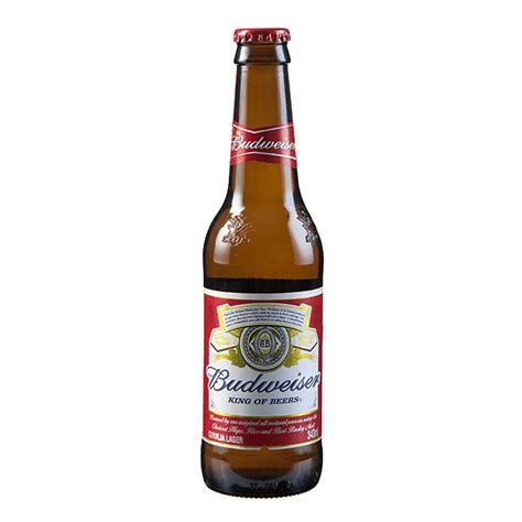 Cerveja Budweiser Long Neck 343ml Distribuidorapinto