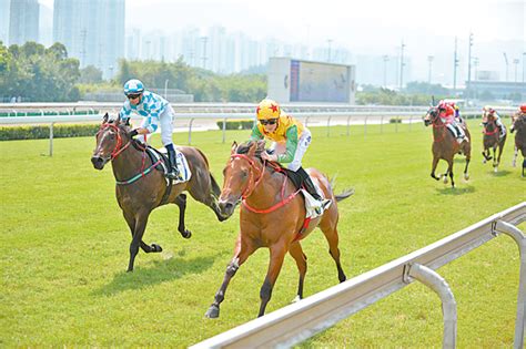 文匯精選：港林飛魚潘頓再自薦 香港文匯報