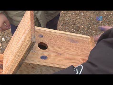 Cajas nido para las aves de Ceuta y crear conciencia para nuestros jóvenes