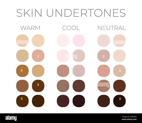 Skin Color Solid Swatches With Warm Cool And Neutral Skin Undertones