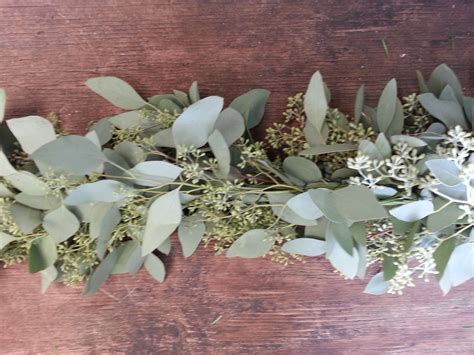 Seeded Eucalyptus Garland – The Garland Guy