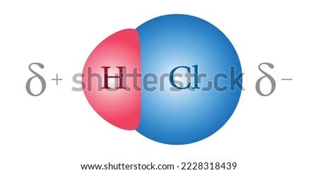 HCL-MOLECULE Stock Vector Images - Avopix.com