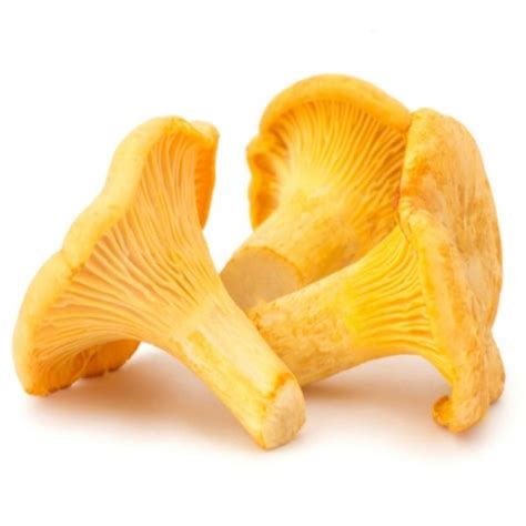 Грибы лисички в Москве с доставкой. Купить по цене 0.00