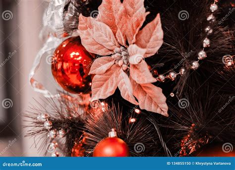 Coral Color Christmas Stock Photo Image Of Green Decoration 134855150