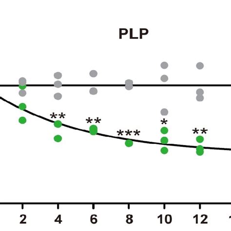 Turnover of proteolipid protein (PLP) in central nervous system myelin ...