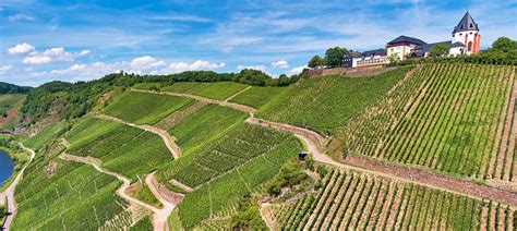 Bio Weinbau An Der Mosel Weingut Clemens Busch