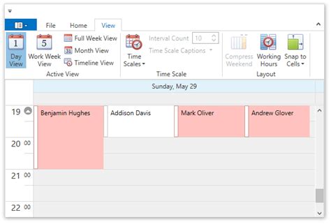 Scheduler Wpf Controls Devexpress Documentation Images