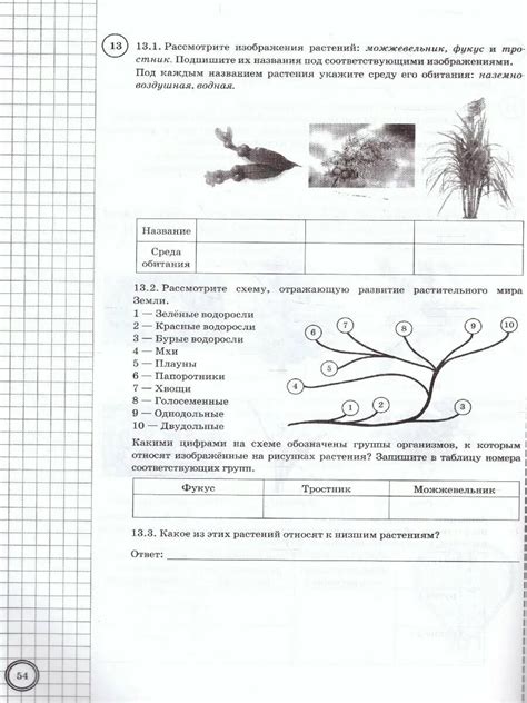 Впр биология класс образец