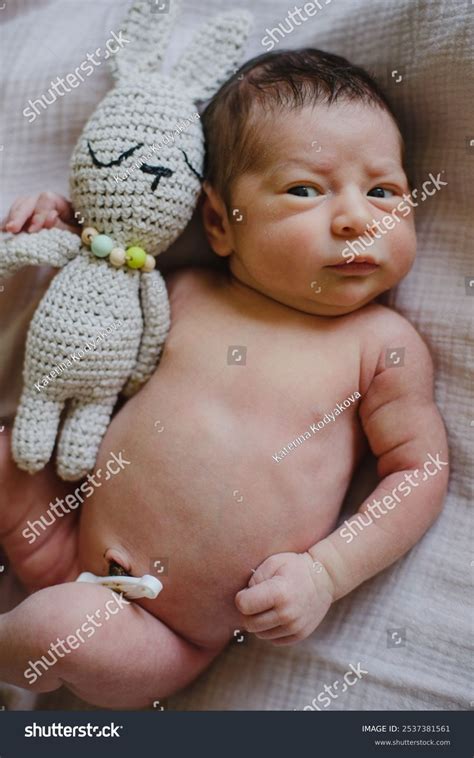 Portrait Newborn Baby Naked Without Clothes Stock Photo Shutterstock
