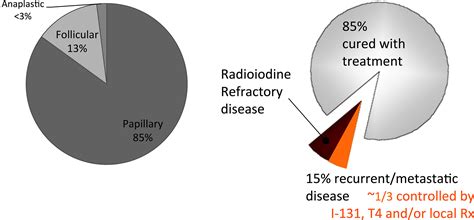 Clinical Guidance For Radioiodine Refractory Differentiated Thyroid