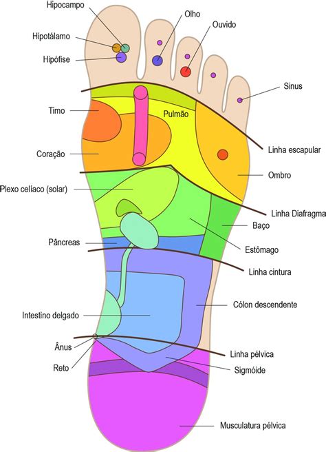 Mapa De Reflexologia Dos Pés Revoeduca