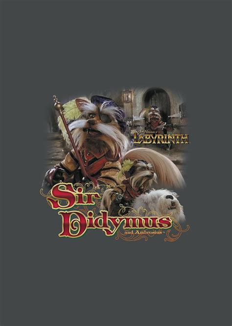 Labyrinth - Sir Didymus Digital Art by Brand A - Pixels