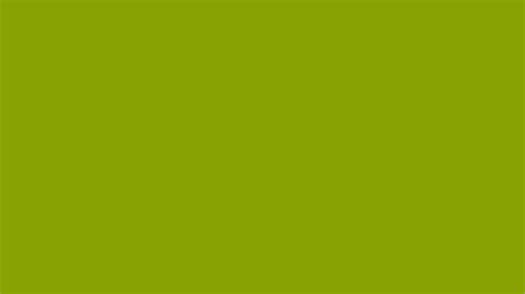 Vomit Green Solid Color Background Image | Free Image Generator